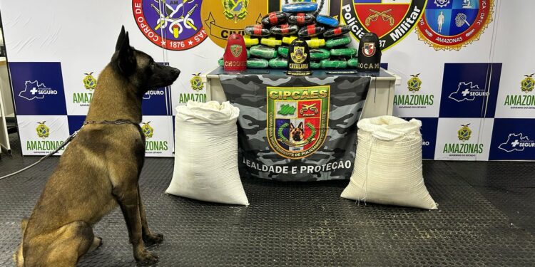 Polícia apreende drogas em sacos com farinha no Amazonas