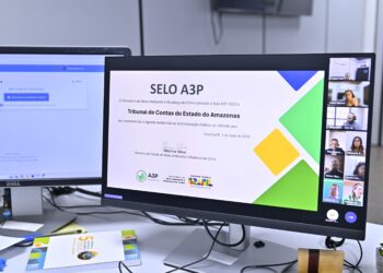 TCE-AM marca presença em reunião virtual do Comitê de Sustentabilidade do IRB e Ministério do Meio Ambiente