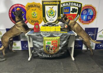Polícia apreende 20kg de entorpecentes camufladas no forro de um freezer de embarcação