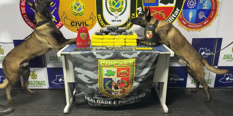 Polícia apreende 20kg de entorpecentes camufladas no forro de um freezer de embarcação