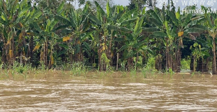 Quase 120 mil pessoas estão afetadas pela cheia no Amazonas