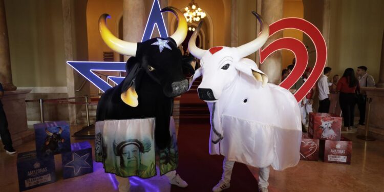 Bois Caprichoso e Garantido celebram chegada do Mercado Livre como patrocinador oficial do Festival 2025