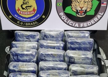 Polícia Federal prende mulher por tráfico de drogas no aeroporto de Manaus