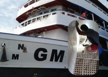 Polícias Federal e Civil apreendem 110 kg de drogas e embarcação no Amazonas