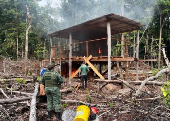Três indústrias de cerâmicas ilegais na Rodovia AM-070 são embargadas
