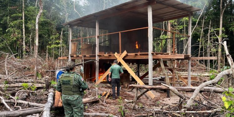 Três indústrias de cerâmicas ilegais na Rodovia AM-070 são embargadas