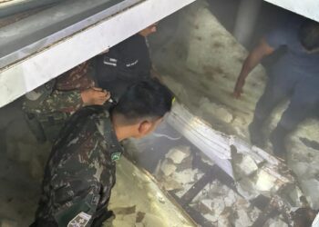 Exército e PM apreendem drogas avaliadas em mais de R$ 4 milhões no Amazonas