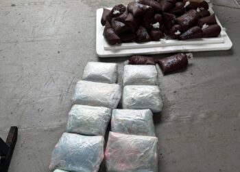 Polícia apreende drogas escondidas em caixa térmica com pacotes de açaí