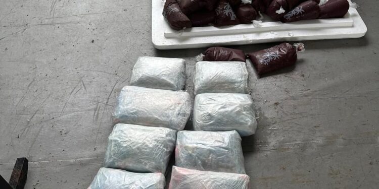 Polícia apreende drogas escondidas em caixa térmica com pacotes de açaí