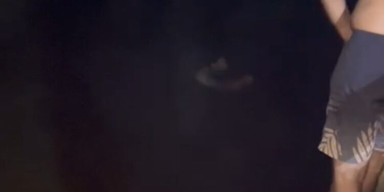 Vídeo: Sob chuva, sargento da PM e equipe resgatam homem que caiu no rio Solimões, no Amazonas