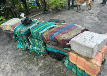 Exército apreende quase 1 tonelada de drogas na fronteira do Amazonas com Colômbia e Venezuela