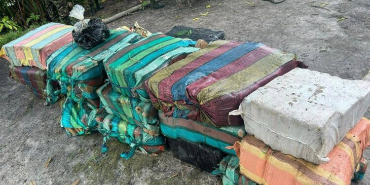 Exército apreende quase 1 tonelada de drogas na fronteira do Amazonas com Colômbia e Venezuela