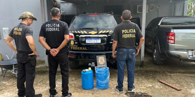 Polícia Federal prende homem com 63 kg de drogas no interior do Amazonas