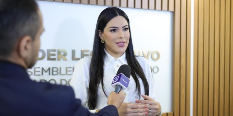 Deputada apresenta nove emendas à LDO nas áreas de segurança, saúde e assistência social