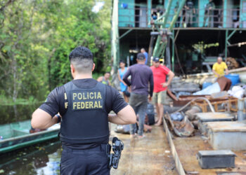 Operação causa prejuízo de R$ 225 milhões ao crime organizado na região amazônica
