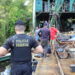 Operação causa prejuízo de R$ 225 milhões ao crime organizado na região amazônica