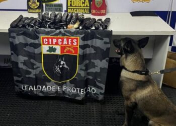 Cadela policial encontra oito quilos de pasta-base escondidos em banheiro de embarcação