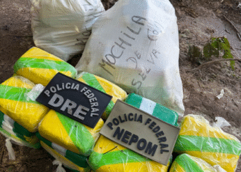 Polícia Federal apreende 100 kg de drogas em pista clandestina no Amazonas