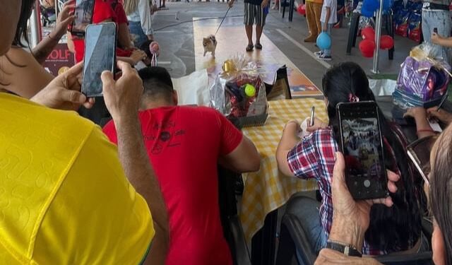 Inscrições para o desfile do Arraial Pet do Nova Era estão abertas até quarta-feira (16)