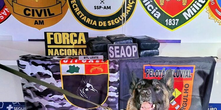 Polícia apreende seis tabletes de cocaína e prende suspeito por tráfico de drogas no AM