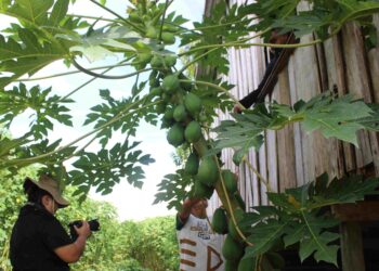 Oficina gratuita de Roteiro para Cinema é oferecida em Manaus como ação do projeto ‘Caminho Ancestral’