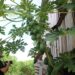 Oficina gratuita de Roteiro para Cinema é oferecida em Manaus como ação do projeto ‘Caminho Ancestral’