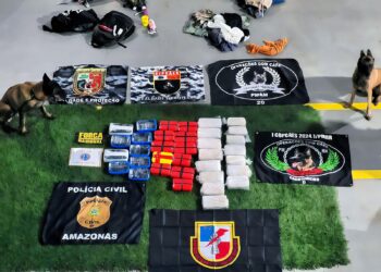 Cadela policial encontra 40 quilos de drogas em bagagens de embarcação no AM
