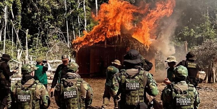 PF intensifica combate ao desmatamento e incêndios florestais no sul do Amazonas