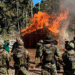 PF intensifica combate ao desmatamento e incêndios florestais no sul do Amazonas