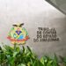 TCE-AM prorroga inscrições do Profac 2025, que terá módulo inédito sobre meio ambiente