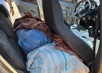 Homens são presos com 52 kg de skunk no Amazonas