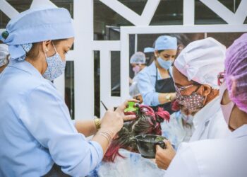 Literatus abre inscrições para cursos técnicos e especializações com foco na empregabilidade