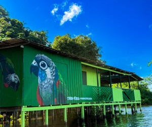 Parintins recebe projeto de revitalização que alia arte, cor e valorização do turismo local, com apoio da Tintas Coral