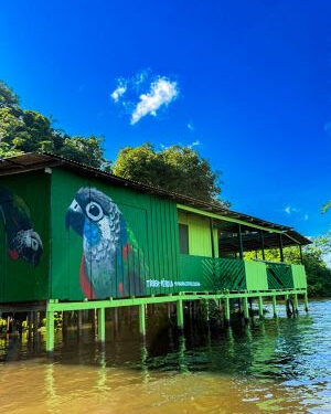 Parintins recebe projeto de revitalização que alia arte, cor e valorização do turismo local, com apoio da Tintas Coral