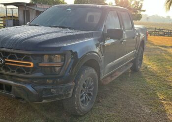 Pecuária: PF prende um e pede bloqueio de R$ 70 milhões contra grupo no Amazonas