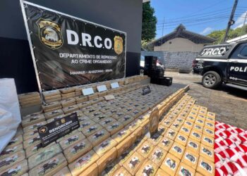 Polícia prende homem com 700 kg de cocaína pura, avaliados em R$ 40 milhões no AM