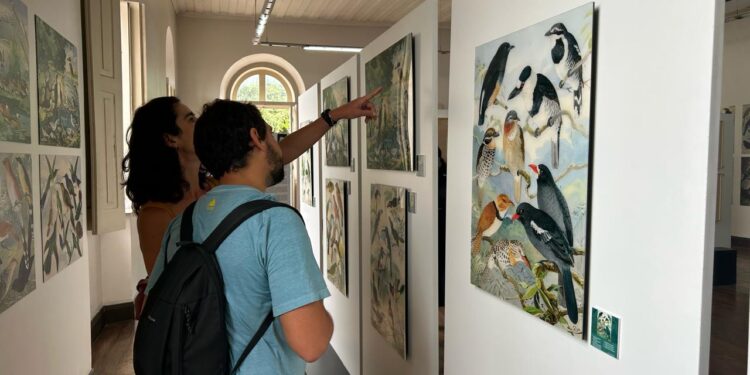 Exposição em Manaus apresenta a biodiversidade amazônica e celebra Data Nacional da Suíça