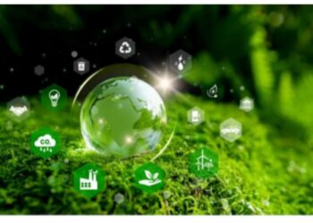 Programa Spring Iyaleta oferta mil vagas gratuitas para cursos e conferências online sobre governança climática