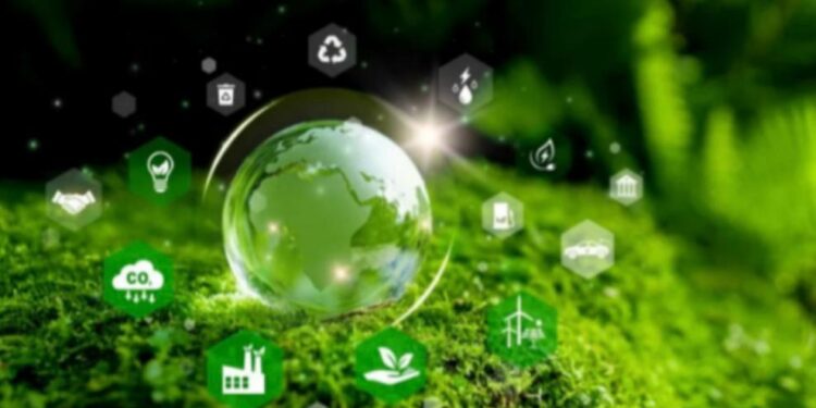 Programa Spring Iyaleta oferta mil vagas gratuitas para cursos e conferências online sobre governança climática