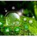 Programa Spring Iyaleta oferta mil vagas gratuitas para cursos e conferências online sobre governança climática