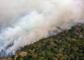 Defensoria Pública monitora a situação das queimadas no Amazonas