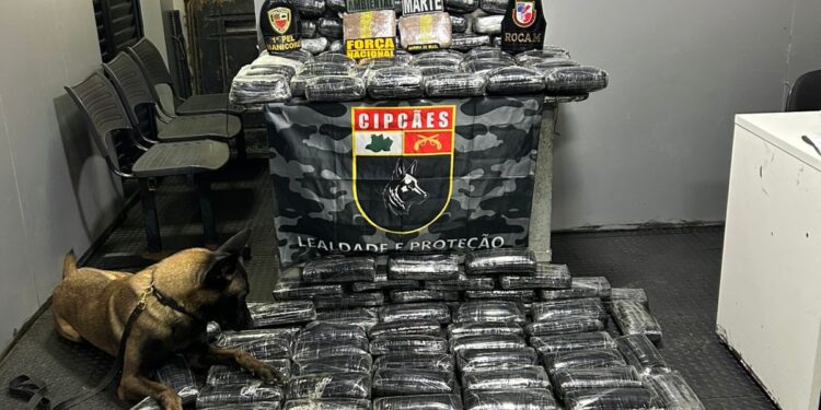 PM apreende droga avaliada em R$ 3,6 milhões e prende homem em flagrante no Amazonas