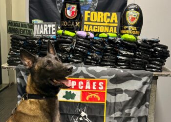 102 tabletes de drogas foram apreendidos em barco que seguia de Tabatinga para Manaus