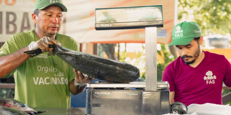Feira do Tambaqui: 9 toneladas do pescado em Manaus neste sábado e domingo