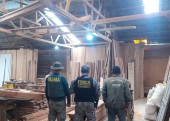 Ipaam aplica R$ 1,39 milhão em multas por crimes ambientais durante operação no AM