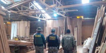 Ipaam aplica R$ 1,39 milhão em multas por crimes ambientais durante operação no AM