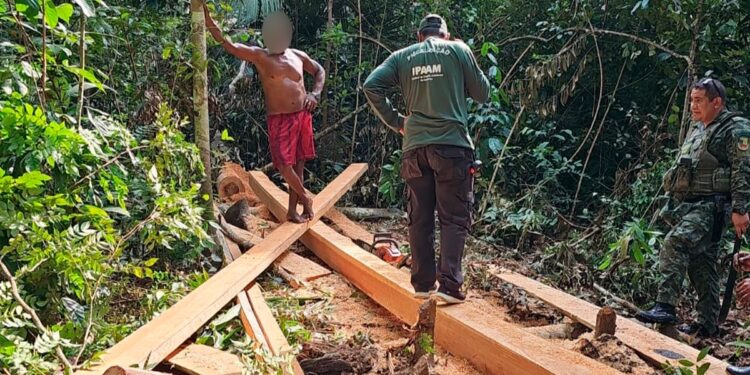 Operação resulta em R$ 427,8 mil em multas por crimes ambientais em Unidades de Conservação do AM