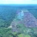 Queimadas e desmatamento: Ipaam aplica mais de R$ 30 milhões em multas no Amazonas
