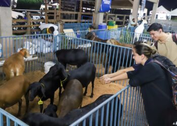 Expoagro 2025 inicia neste domingo (28) em Manaus