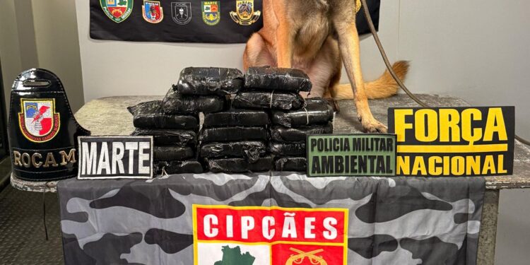 Cadela policial localiza drogas no forro do banheiro de uma lancha no AM
